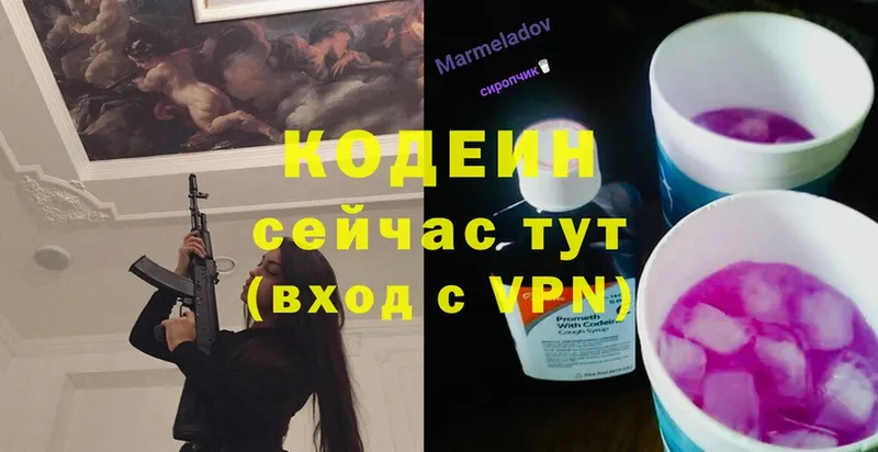 darknet как зайти  Знаменск  Кодеин напиток Lean (лин) 